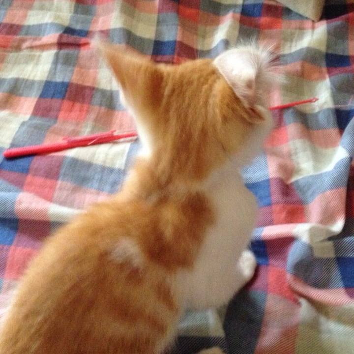 1e7a6090 cd5b 461e b294 1bdf247a3148