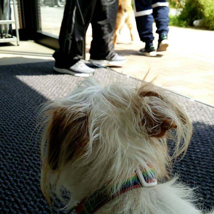 1e7a8cfe 2f42 4143 bf60 8afd0b5cae8b