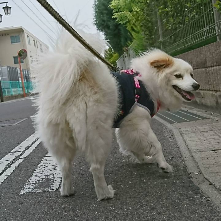 1e7b7391 1e36 4c25 a4af ff3b4c72586f