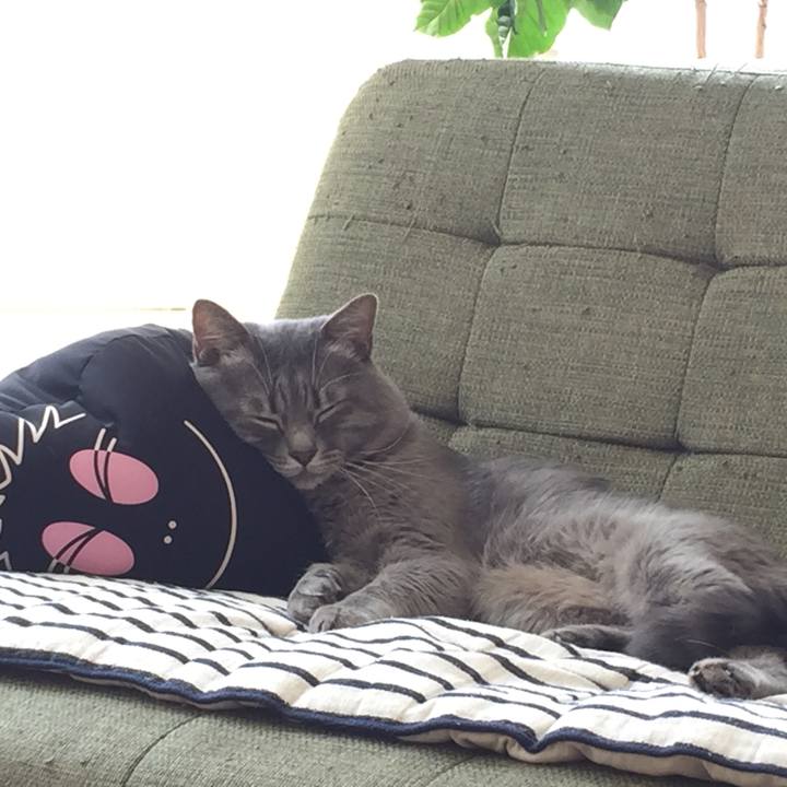 1e7b7971 7b03 4410 bffe 3e89d2b6caa6