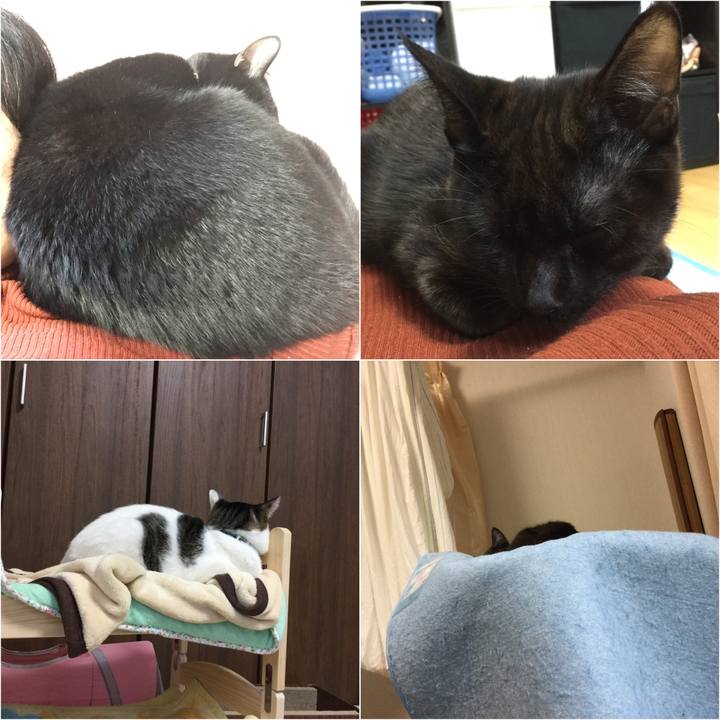 1e7ba141 ea97 4238 9c35 eeeae917d29e