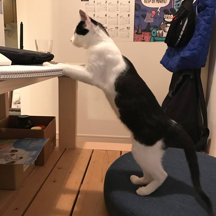 1e7babd7 130c 4640 b432 ce77acd2d8a8