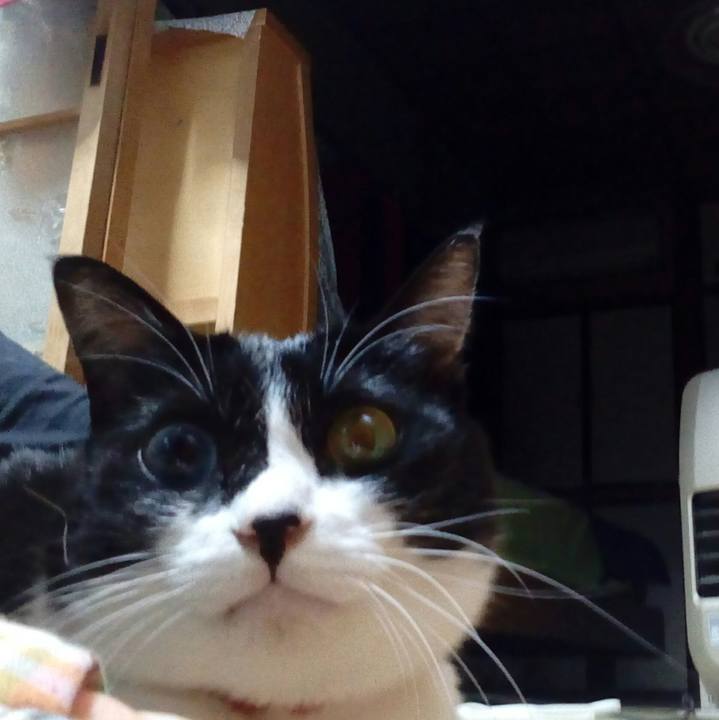 1e7bc0e6 9e32 4765 ad75 9423e87849df