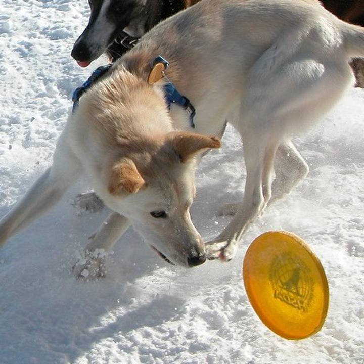 1e7bd24f 1c0c 422c 969f 1e960ec479a8