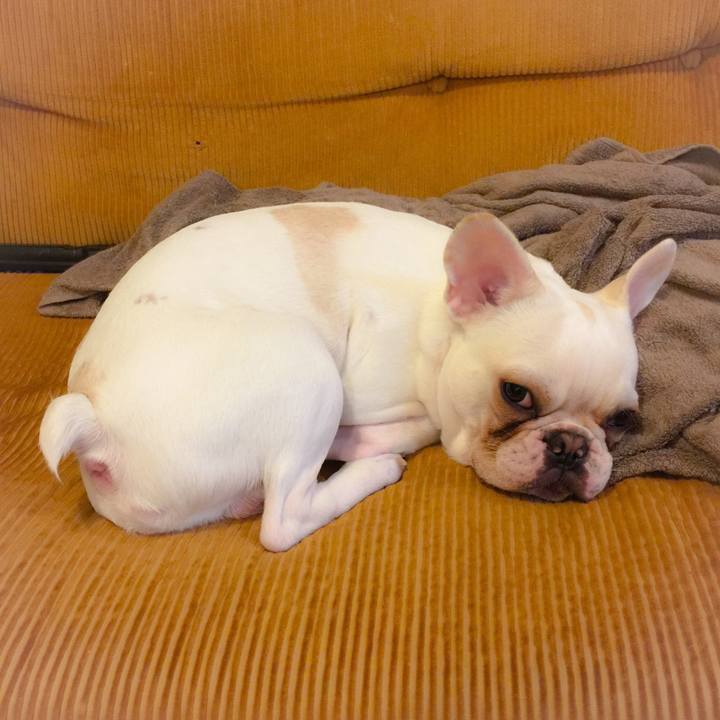 1e7c0736 56a9 426d bec5 02aff89d4a60