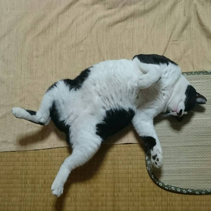 1e7c80a2 913c 4765 9471 ddc8c46a144e