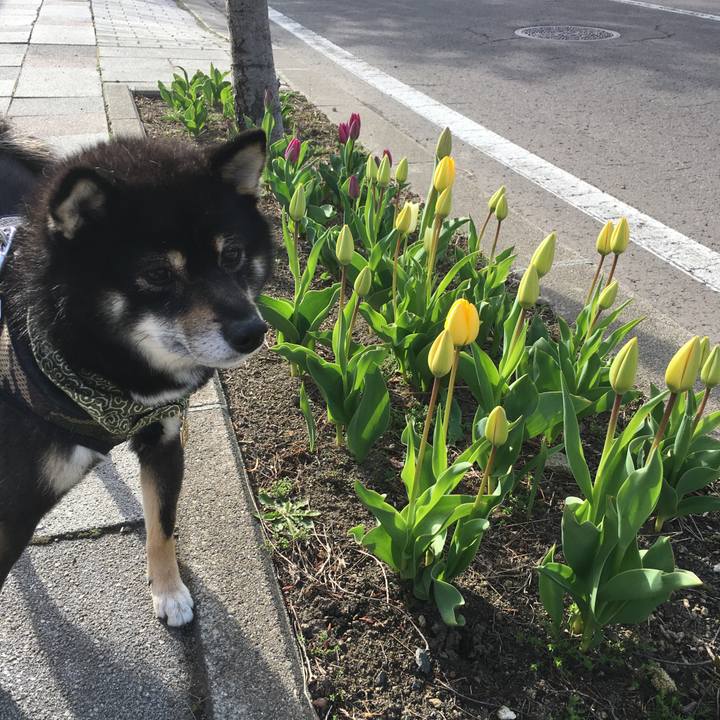 1e7c838d 56c8 4f60 90f3 00c7e450d6d4