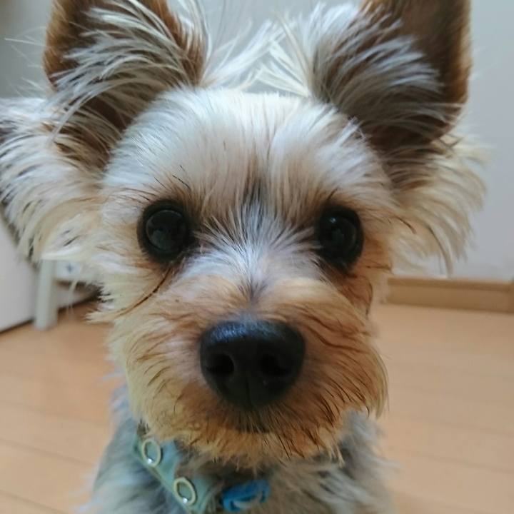 1e7cd4e6 a7f1 4bd5 ac82 8f39c0ac9941