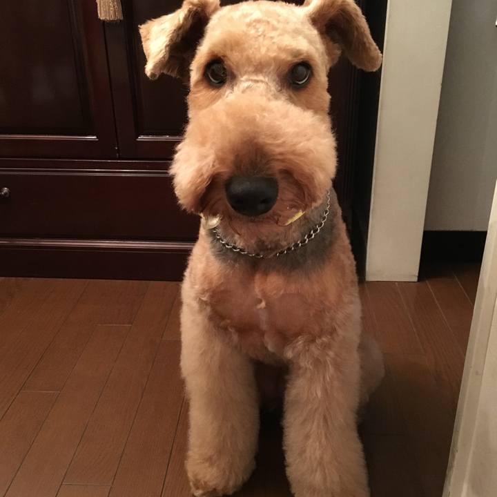 1e7da36b 8636 43f6 8acf 3f4dd804a5b4