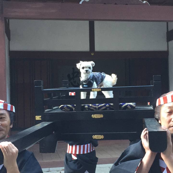 1e7e0695 cd99 4efe b917 214f0e69dda3