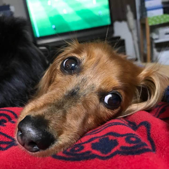 1e7e608e 564f 4d9d 9369 dc5c0d073563