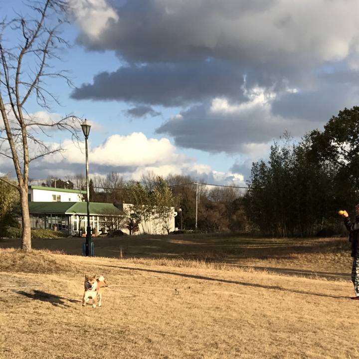 1e7edaeb c84f 424b 93fa 8d571d204ba9