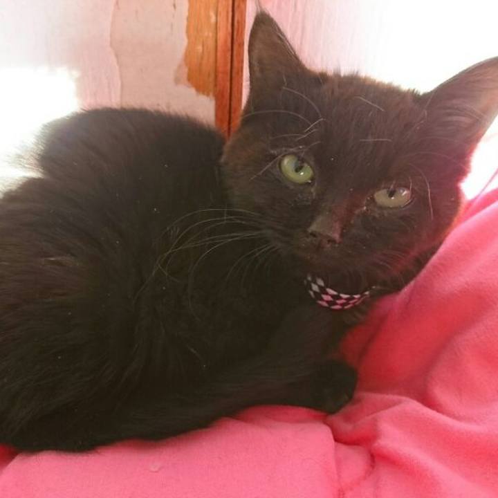 1e7eec29 5719 4d6d 8839 59e08a6a29f7