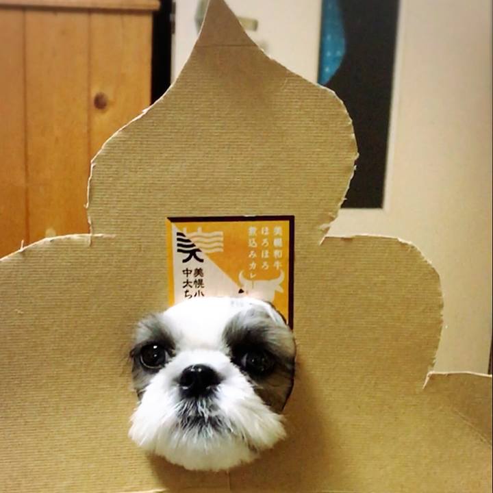 1e7fe02e bcd9 4670 b2ef b7fabaa1e102