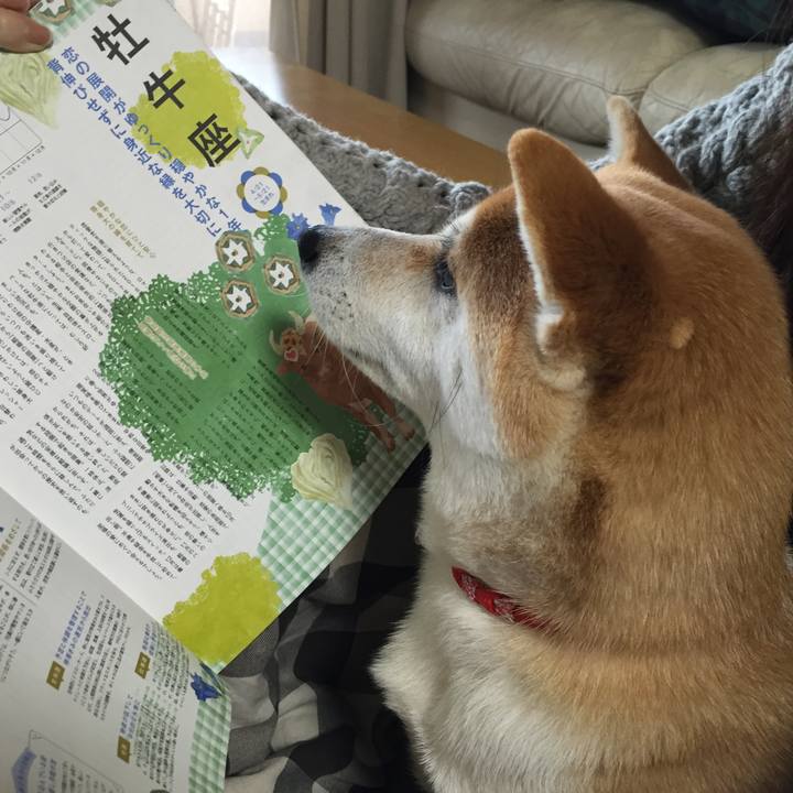 1e7ff59c 853d 433a 8103 0c87515f05bc