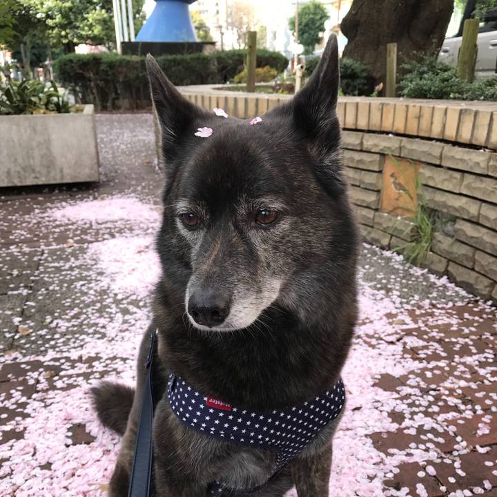 1e800ac7 9cc1 4213 af8a 4d2a13eeba1a