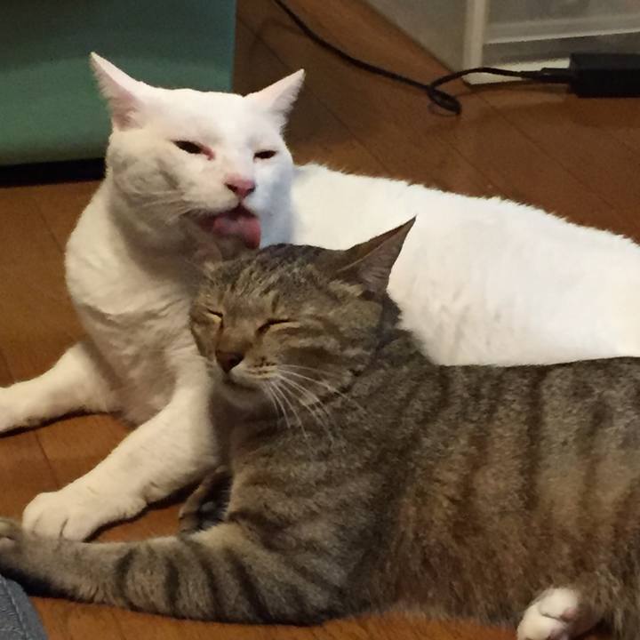 1e80d48e bd01 4877 9deb f62707c3ce09