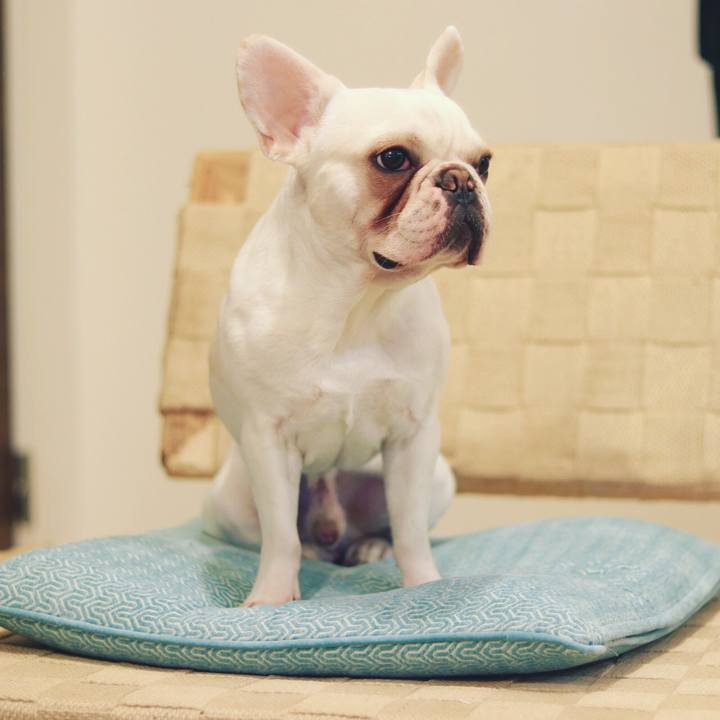 1e82bdd6 e2e2 46e5 b858 0db5b4b6b287