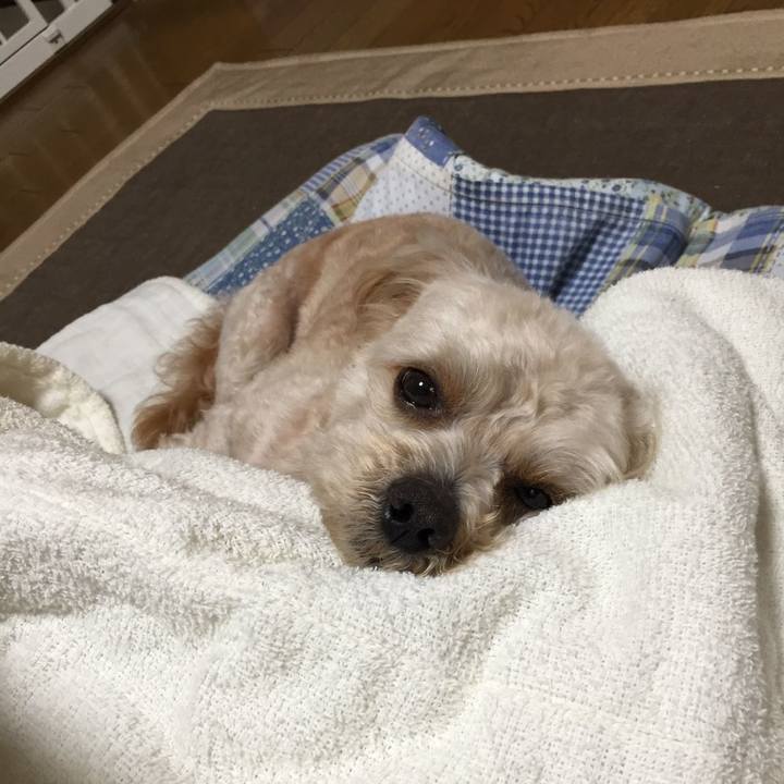 1e83b7b1 537c 4d1c b00a a75f22dc5e7f