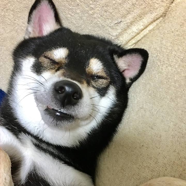 1e847463 dbc7 49fe 990d 9a9a2615264d