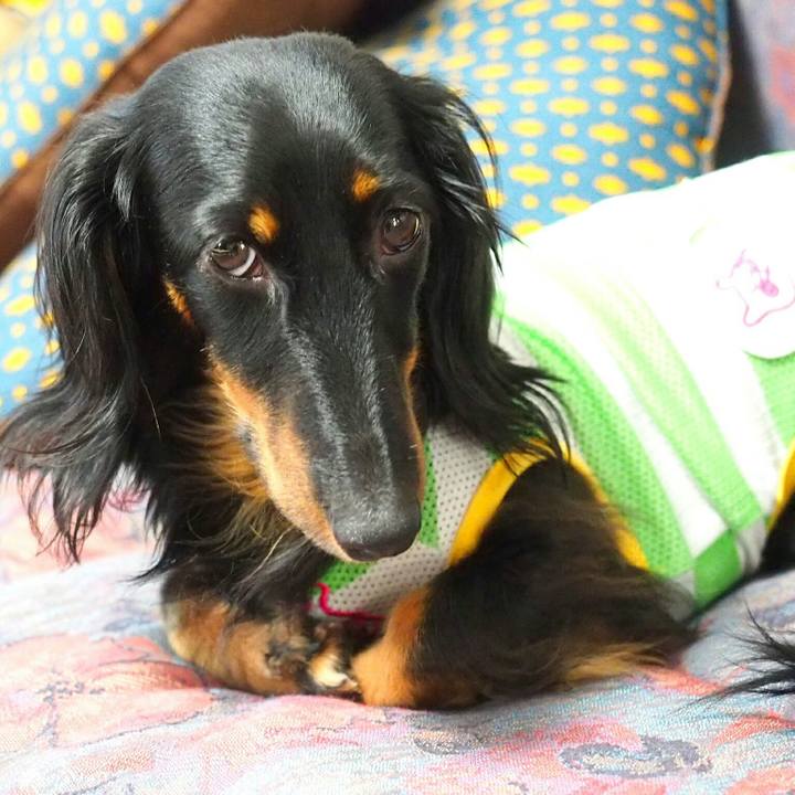 1e857b65 2703 43ee 8308 9867dca0b553