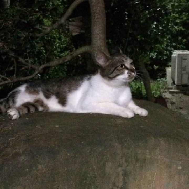 1e862dc3 ffe7 4c42 aafc d0d4bc4f07a3