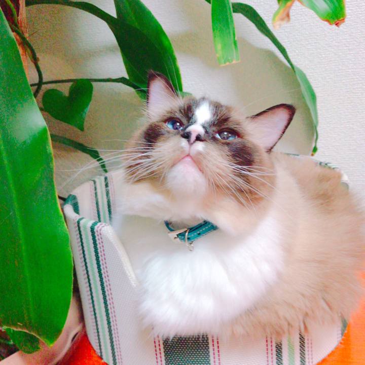 1e86c315 27ab 44ce b9c4 24be6bc51a92