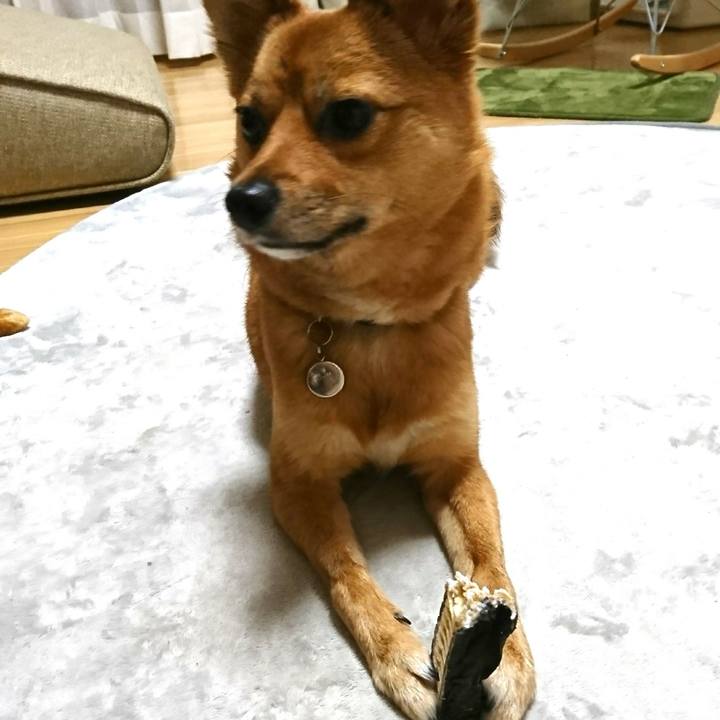 1e870900 81ae 4f53 9df1 f23be27e53c4