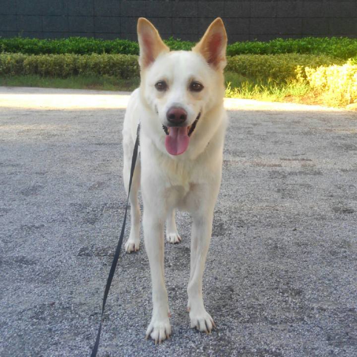 1e87169f c375 4679 8e5f 8764adb84501