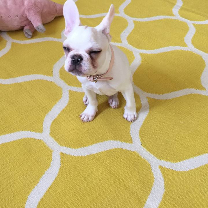 1e875292 6b00 42e3 87ab 15c123c9865e