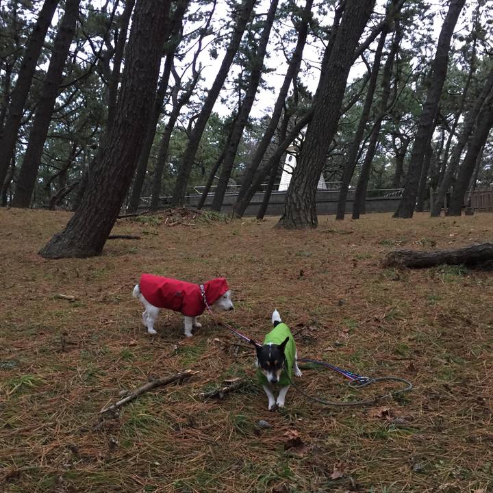 1e8776b8 af28 4f81 bcf7 c87284db9c4a