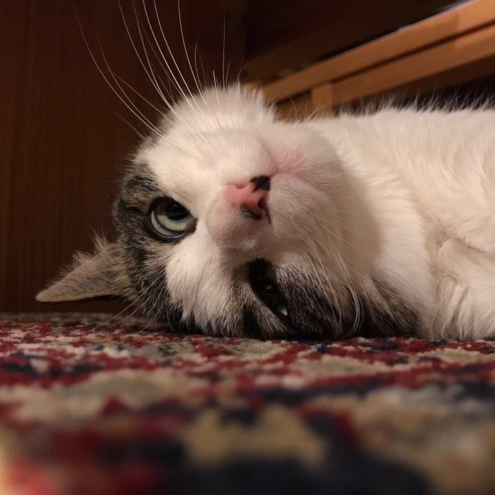 1e877eca 8f32 4edb b4d7 f76995911c20