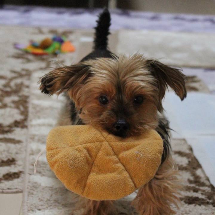 1e87ae79 6309 4abf a388 c9a5f8a6b2b6