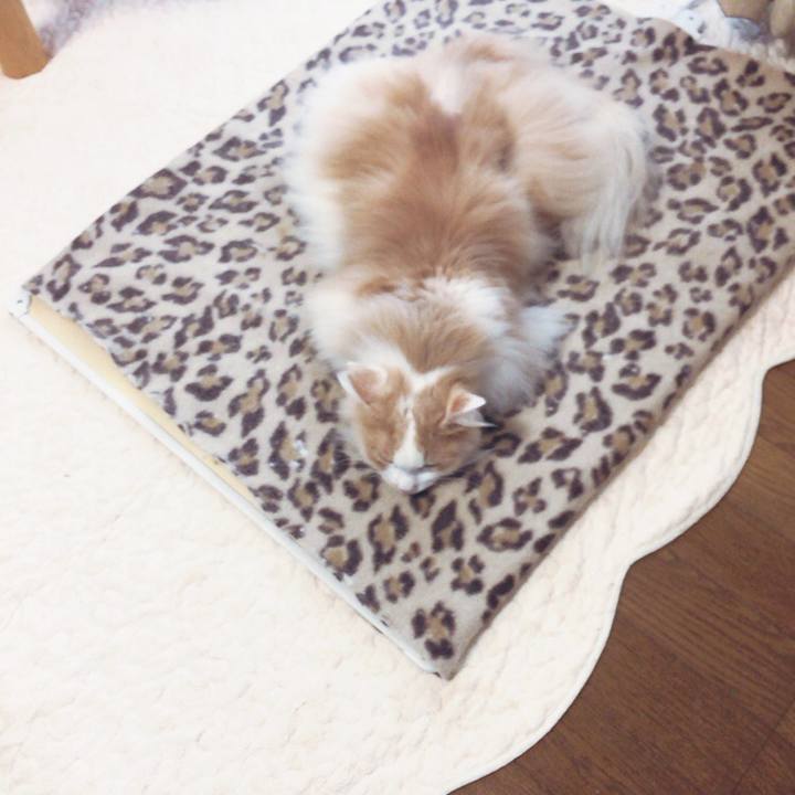 1e87c35d 4a57 47d9 9b28 89aac0e1d2e1