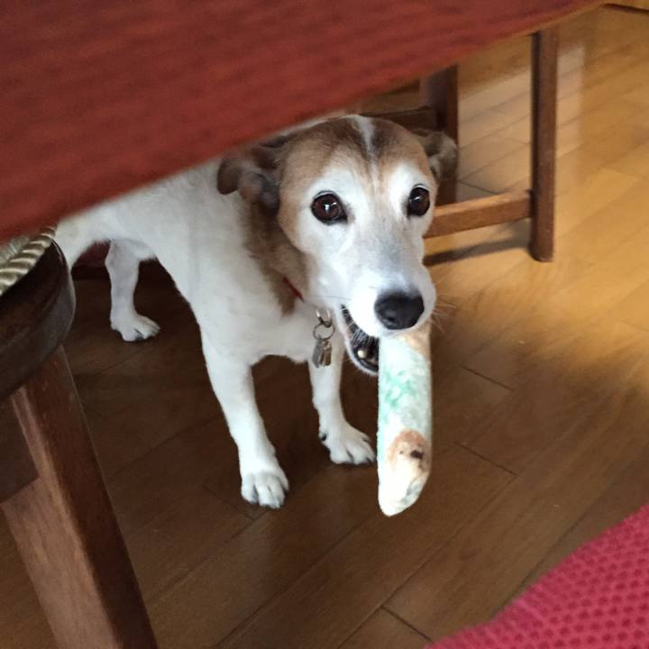 1e87fd73 76bc 497e b845 a30007b01f13