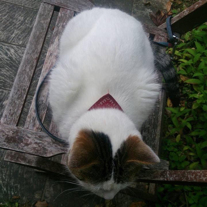 1e882bd2 50ef 467d 9d71 3fef8f9978bc