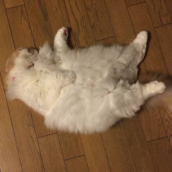 1e883604 2b85 4128 93db 2713342d0841