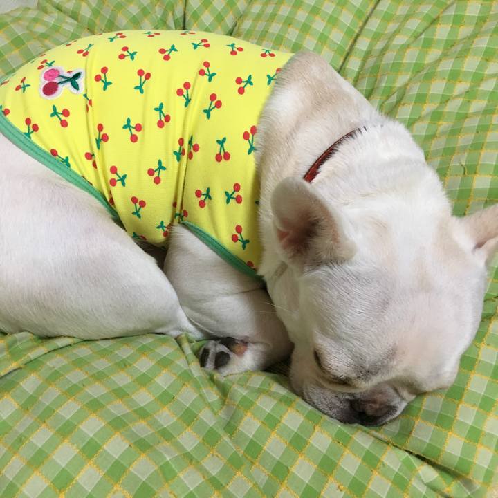 1e887e3b 0e42 4208 bd45 0826025e9266