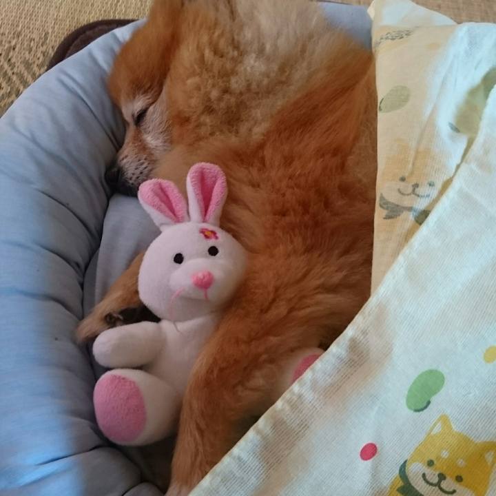 1e88b3a7 ec47 449d ba06 f3e8e3ed2bcf