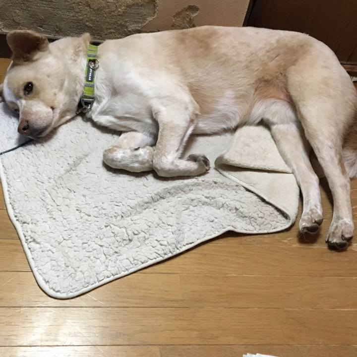 1e8959ab 2a52 43a9 9544 94590eac0de8