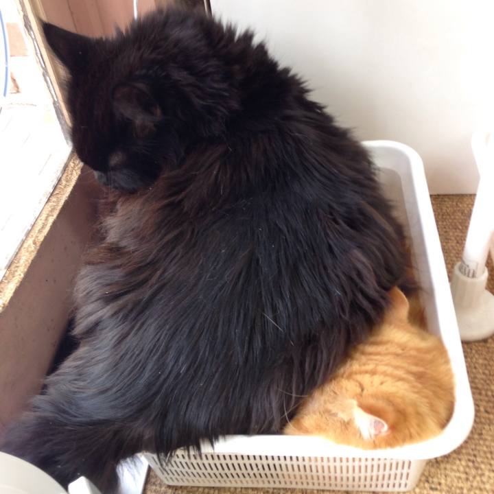 1e8a326d f5f1 4635 b47a c0233071cf5d