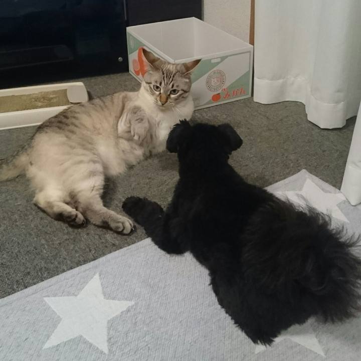 1e8acf50 fa22 460d 8259 aa4846d3ad6f