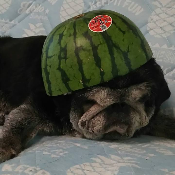 1e8b079a 2465 4a1e 89ea 409e1b3e3906