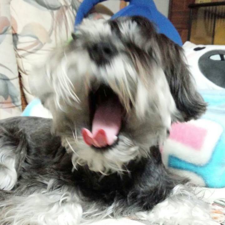 1e8b9a09 71d1 4b33 9815 d5ab9be26002