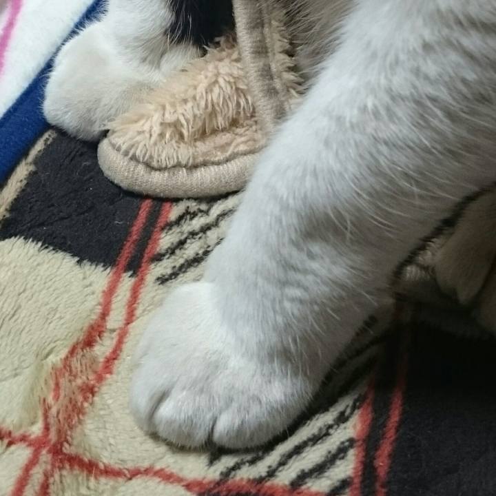 1e8bd5d1 83f2 4b0b b1ba b5924be13448