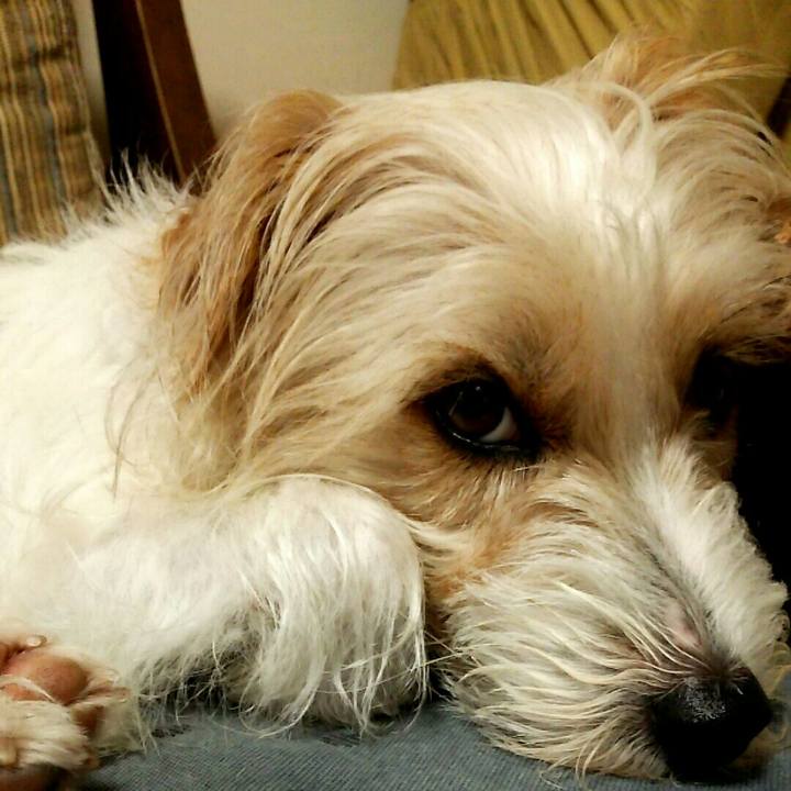 1e8be886 bdba 4a3a b603 6b761ce9e81a