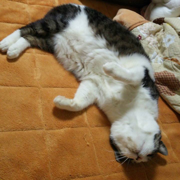 1e8be906 1e78 47dd 82e3 e02208b938b9