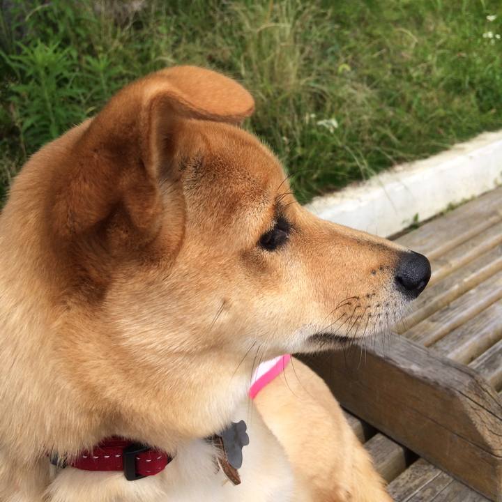 1e8c1339 1c10 4a5e 801c 5588942dc894