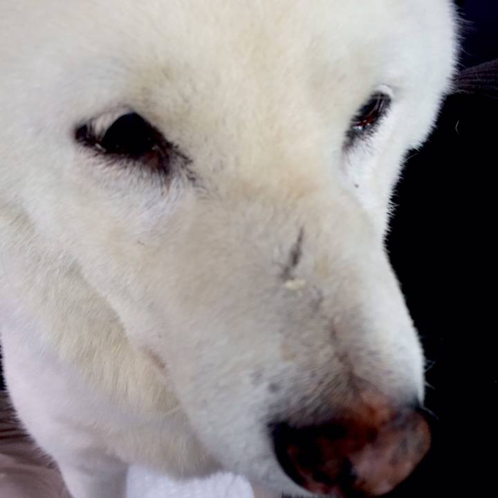 1e8c33b7 180b 420d 950d 8dc0e03637b0