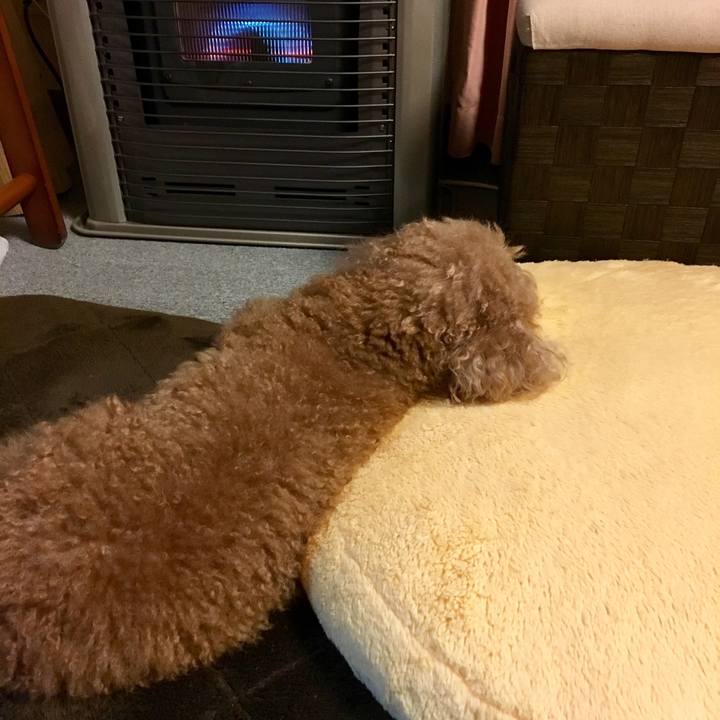 1e8c5880 5b40 4f83 8770 1e2f4f6ea8f8